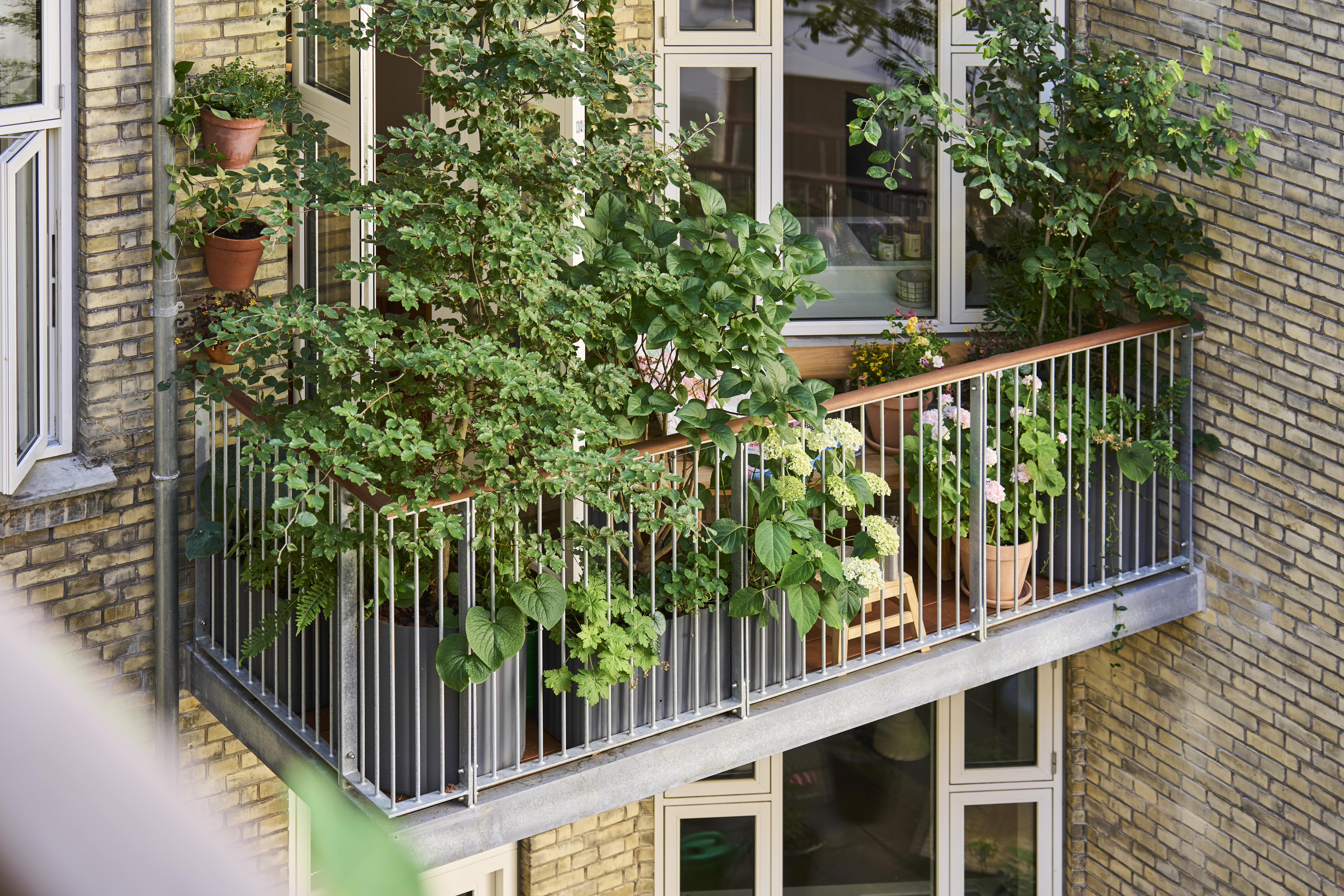 Altana fremviser flot regnskab for 2024 – og fortæller hemmeligheden bag